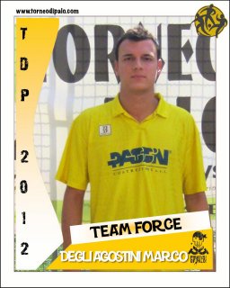 TEAM FORCE